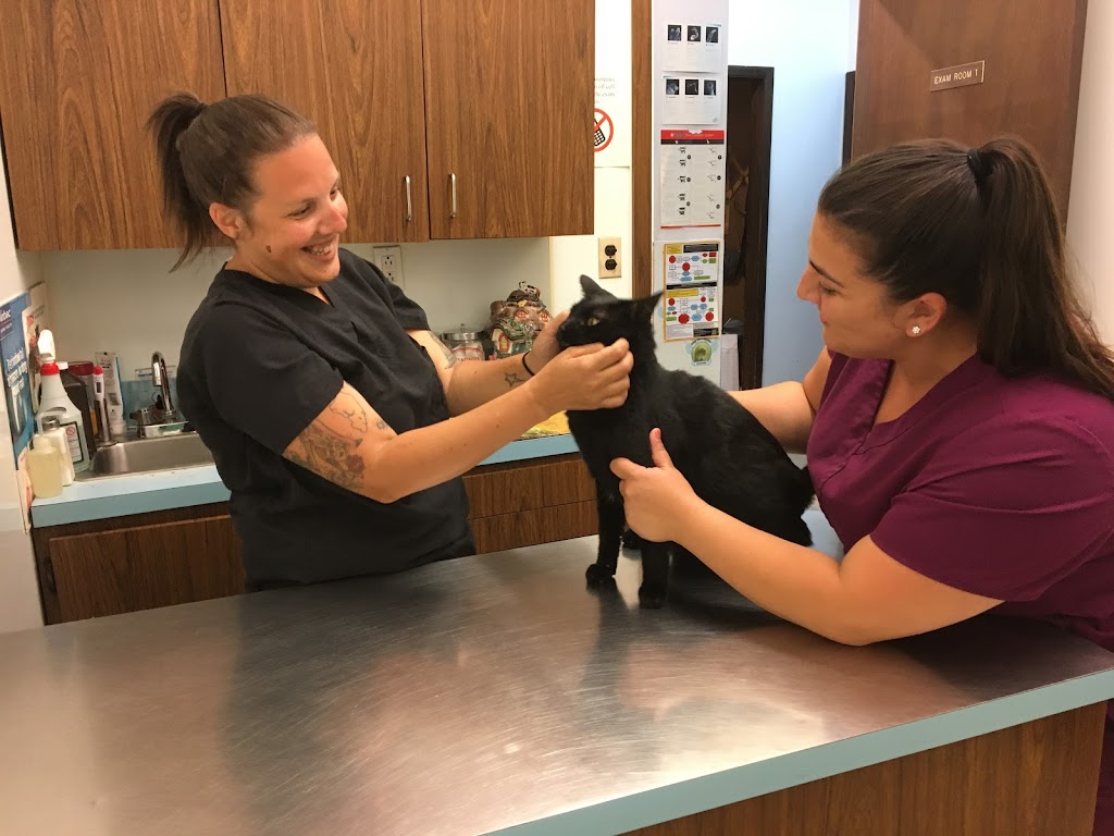 Annadale Veterinary Clinic | 889 Annadale Rd, Staten Island, NY 10312, USA | Phone: (718) 984-4440