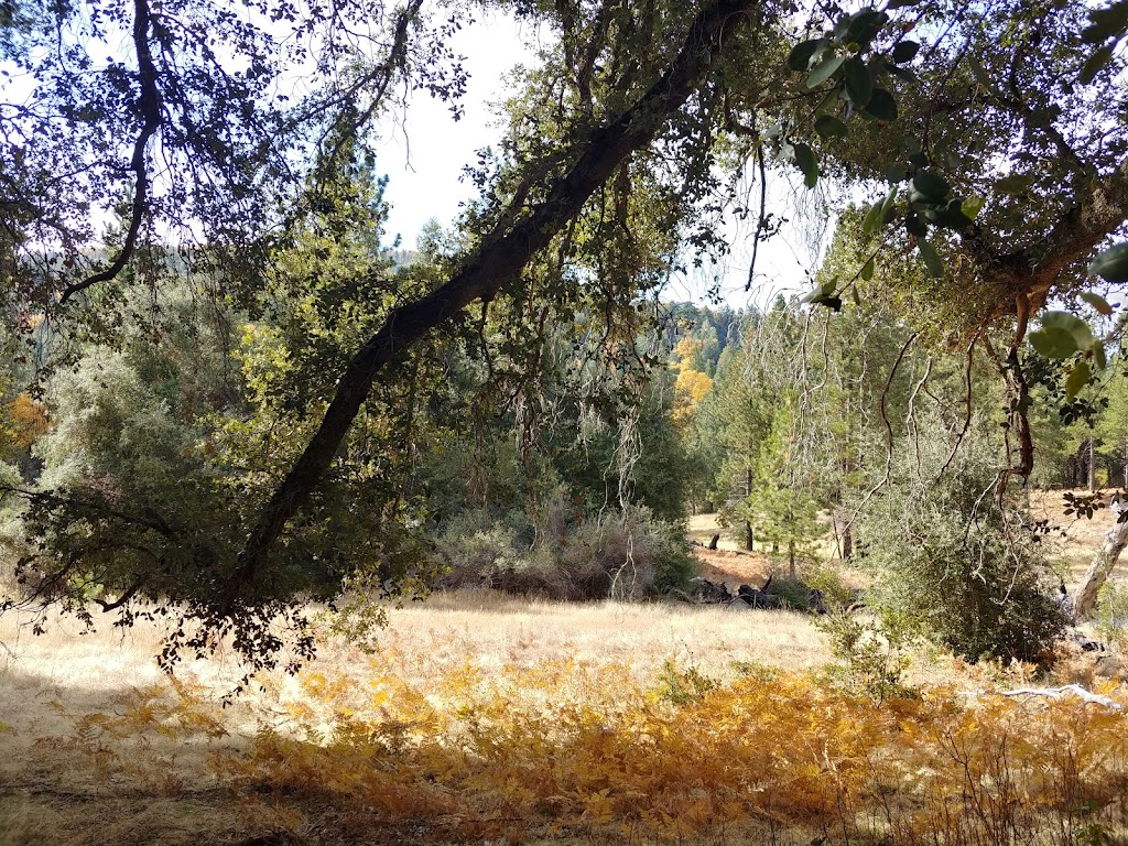 Doane Valley Nature Nature Preserve | Palomar Mountain, CA 92060, USA | Phone: (619) 990-0738
