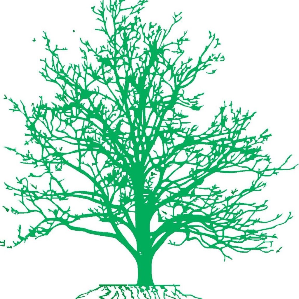 Brummers Tree and Shrub LLC (Brummers Tree Service) | 70 Werah Pl, Oceanport, NJ 07757, USA | Phone: (732) 870-0391