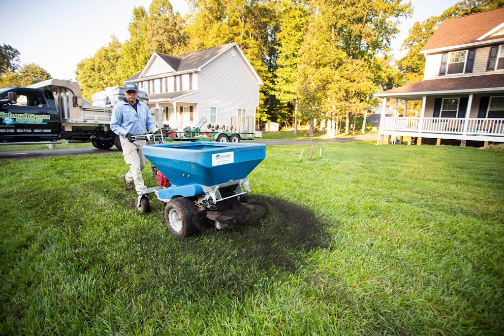 Natural Green Systems Lawn and Pest | 2155 Solomons Island Rd S, Prince Frederick, MD 20678, USA | Phone: (443) 432-3882