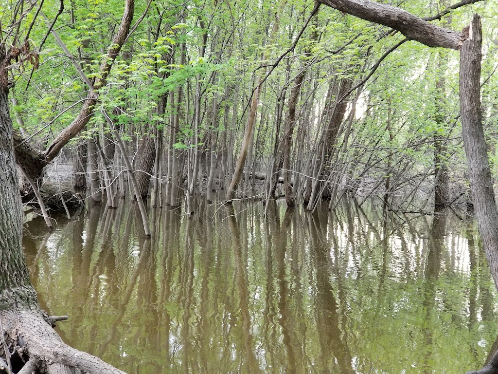 Minnesota River Bottoms Trails | 11115 Lyndale Ave S, Bloomington, MN 55420, USA | Phone: (952) 563-8700