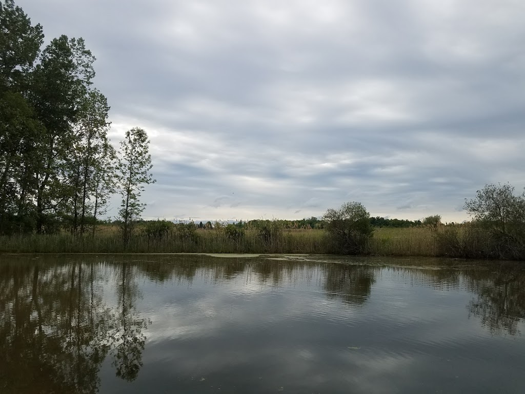 Iroquois National Wildlife Refuge | Casey Rd, Basom, NY 14013, USA | Phone: (585) 948-5445