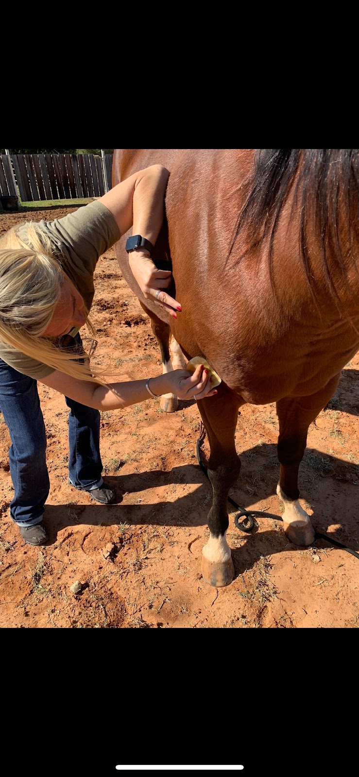 Sandbox Equine and Athlete | 176 Sandy Creek Trail, Weatherford, TX 76085, USA | Phone: (817) 597-8930