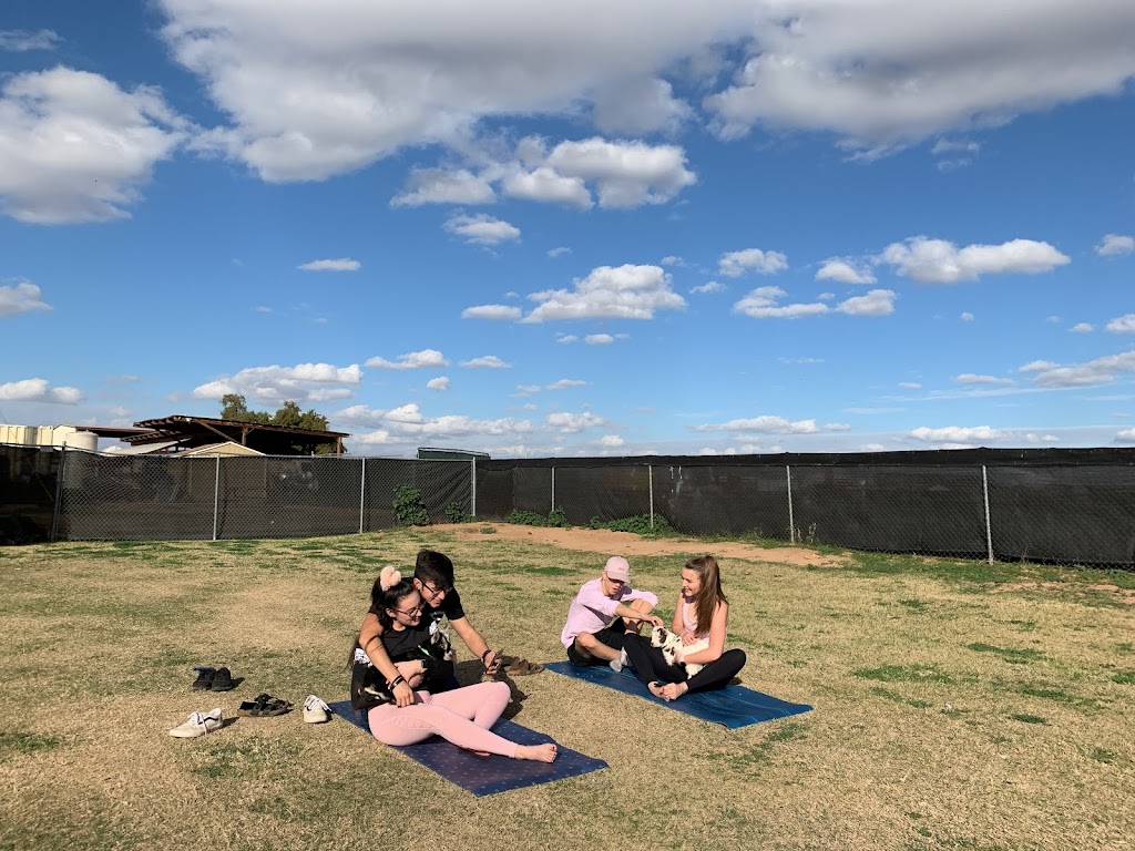 Goat Yoga PHX | 2209 N 99th Ave, Phoenix, AZ 85037, USA | Phone: (623) 628-6866