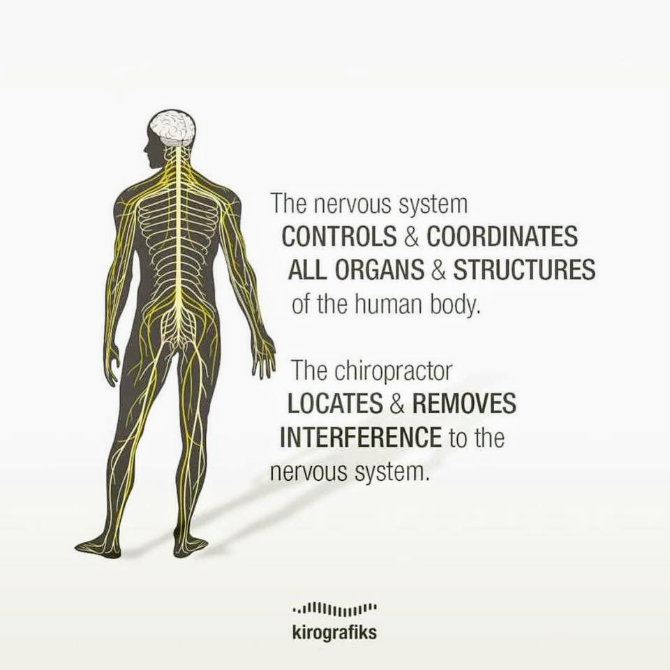 Kian Chiropractic Care | 901 Dover Dr #204A, Newport Beach, CA 92660, USA | Phone: (949) 312-8664