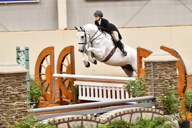 Homeward Farms | 5807 Pepperport Ln, Lewisville, TX 75022, USA | Phone: (817) 875-3520