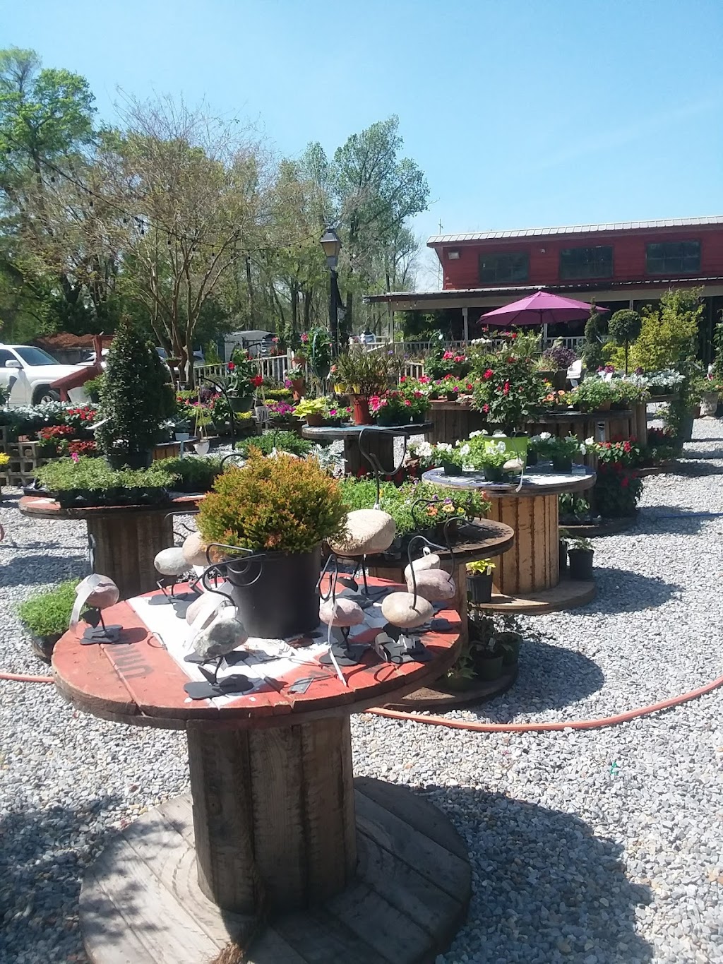 Ds Garden Center | 10320 Pecue Ln, Baton Rouge, LA 70810, USA | Phone: (225) 304-5417