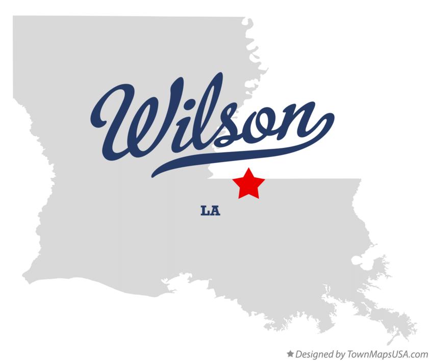 The Village of Wilson Town Hall | 6528 Sycamore St, Wilson, LA 70789, USA | Phone: (225) 629-5415