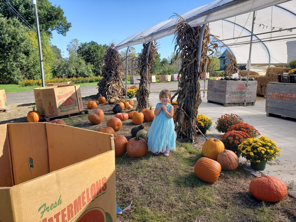 Nemeths Greenhouse & Farms | 4260 E Willis Rd, Milan, MI 48160, USA | Phone: (734) 434-2280