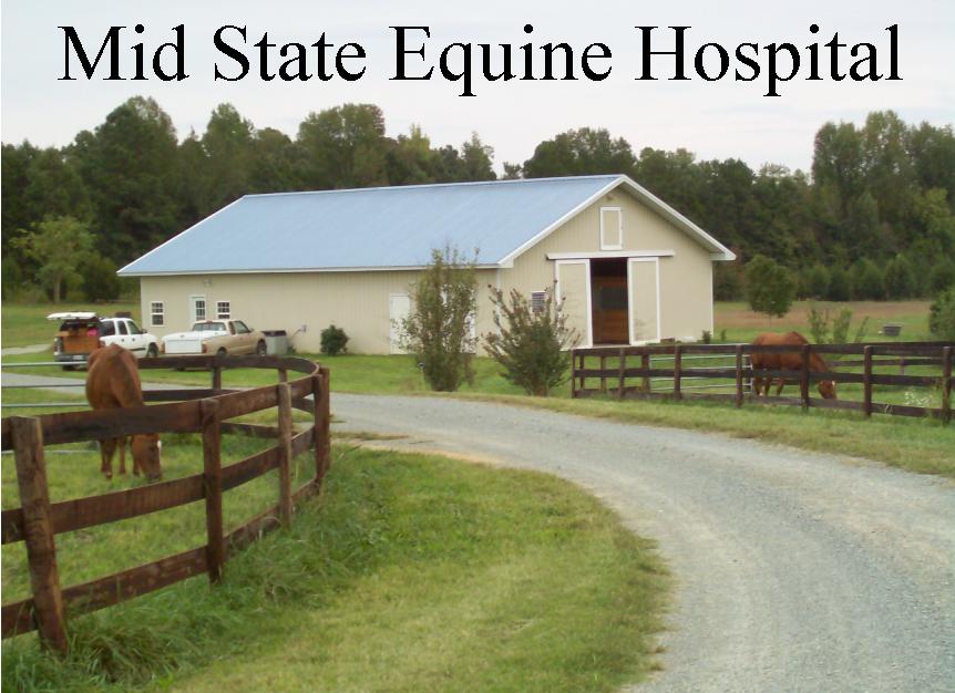 Mid State Equine Hospital: Cindy Kimbrell, DVM | 2504 Staley Store Rd, Liberty, NC 27298, USA | Phone: (336) 622-7447