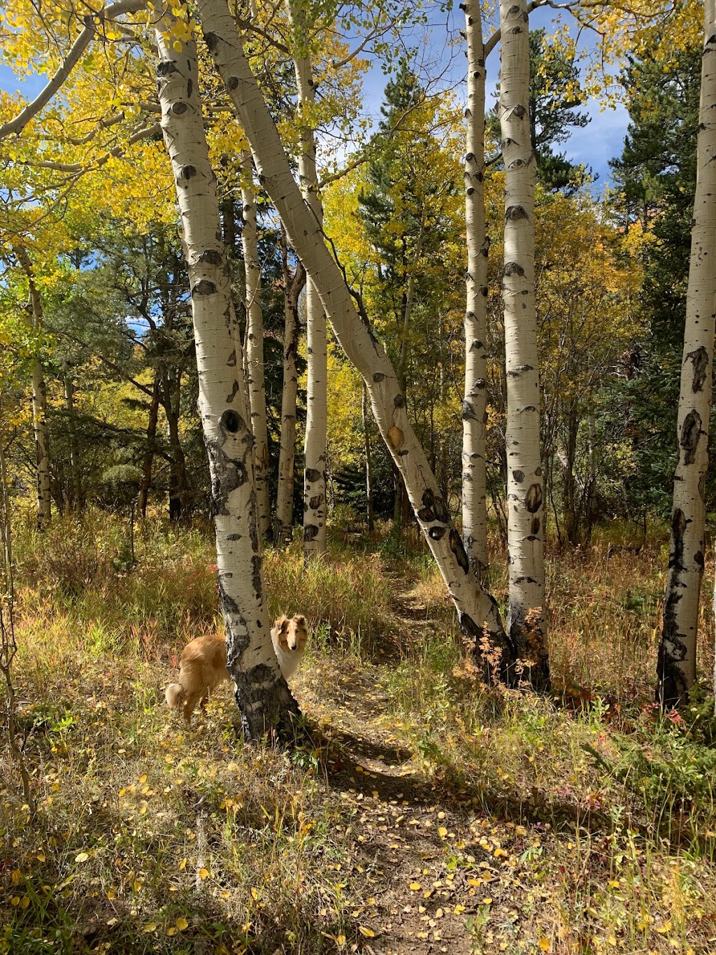 Eye of the Heart | 1744 Lump Gulch Rd, Black Hawk, CO 80422, USA | Phone: (720) 289-3573