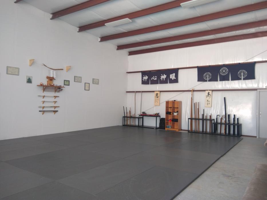 Urban Defense Academy (Shin Gan Dojo) | 141 Jonathan Dr Unit 400, Liberty Hill, TX 78642, USA | Phone: (512) 548-5655