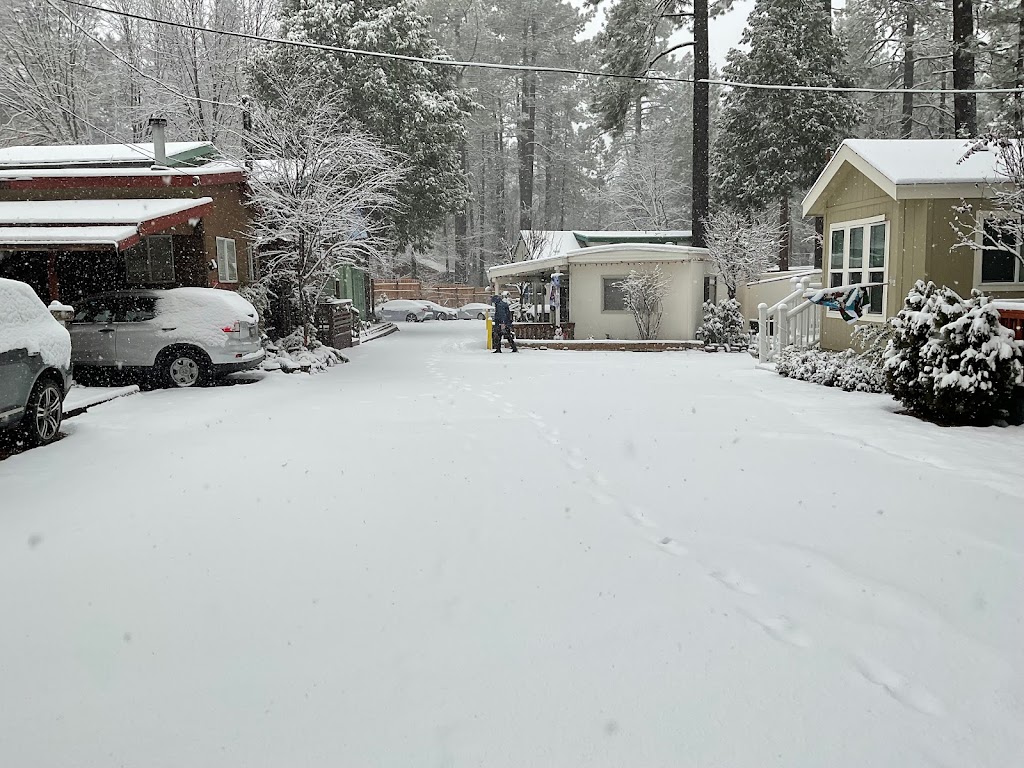 Idyllwild Trailer Park | 25955 CA-243, Idyllwild-Pine Cove, CA 92549, USA | Phone: (951) 659-3180