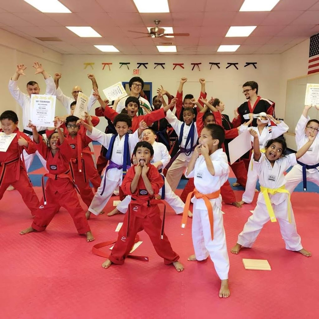 SKY TAEKWONDO | 4676 Princess Anne Rd suite 230 & 240, Virginia Beach, VA 23462, USA | Phone: (757) 233-8417