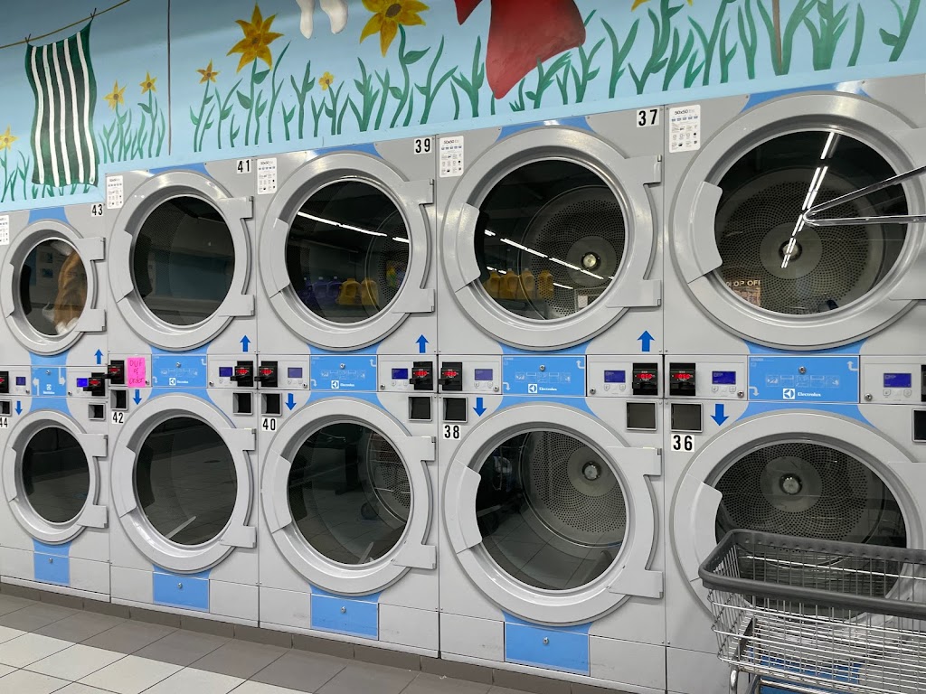 Giant Laundry Bronx | 2861 Webster Ave, Bronx, NY 10458, USA | Phone: (718) 450-3848