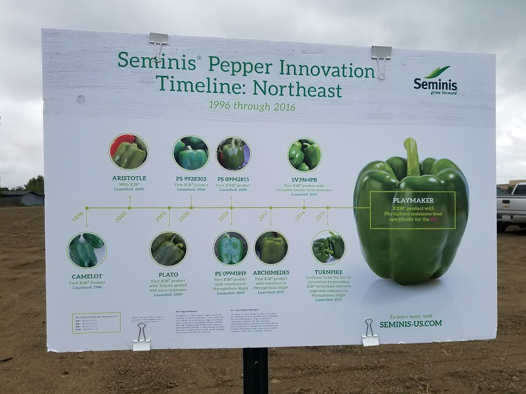 Seminis | 500 Lucy Brown Rd, San Juan Bautista, CA 95045, USA | Phone: (831) 623-4554