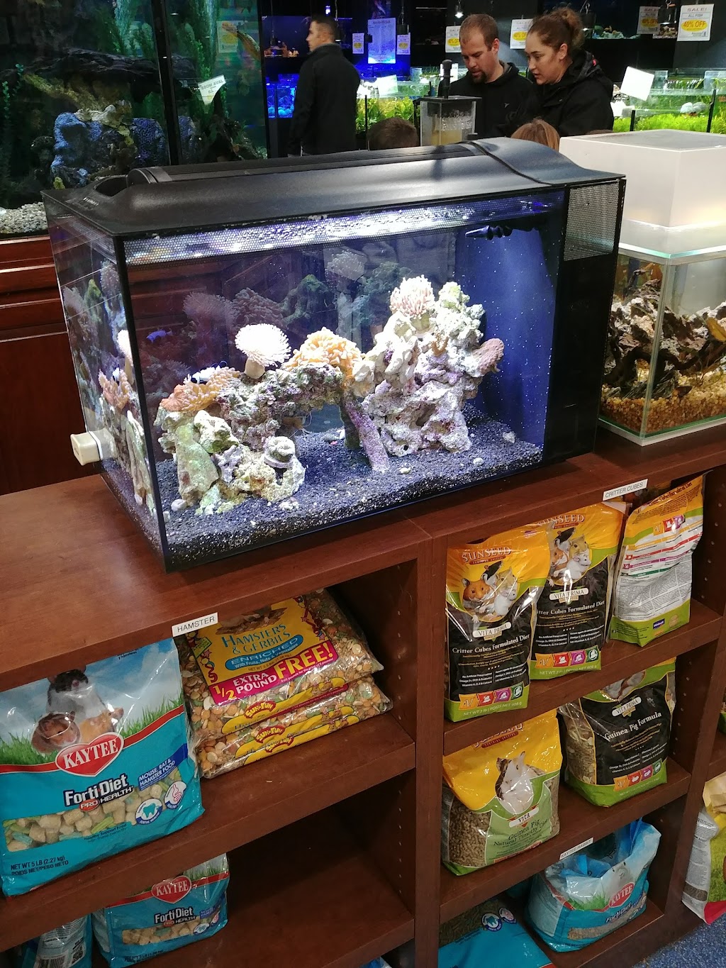 Aquarium Adventure | 744 E Boughton Rd, Bolingbrook, IL 60440, USA | Phone: (630) 739-1128