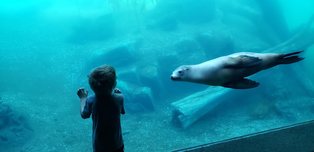 Owen Sea Lion Pavilion | 3701 S 10th St, Omaha, NE 68107, USA | Phone: (402) 733-8401