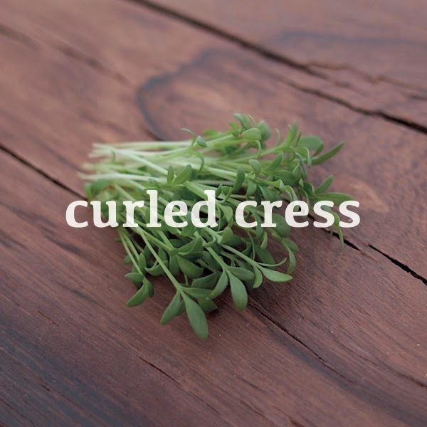 Arizona Microgreens | 3146 E Wier Ave, Phoenix, AZ 85040, USA | Phone: (602) 459-0984 Arizona Microgreens | 3146 E Wier Ave, Phoenix, AZ 85040, USA | Phone: (602) 459-0984