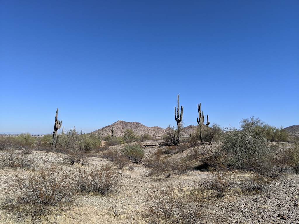 Estrella Mountain Regional Park | 14805 W Vineyard Ave, Goodyear, AZ 85338, USA | Phone: (602) 506-2930