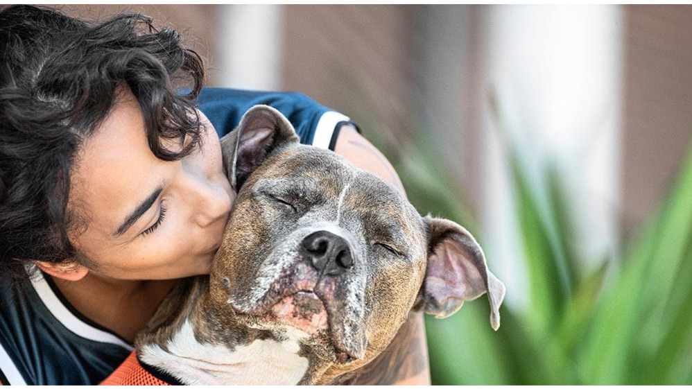 Gibbs Park | 16641 Graham St, Huntington Beach, CA 92649, USA | Phone: (714) 536-5486 Gibbs Park | 16641 Graham St, Huntington Beach, CA 92649, USA | Phone: (714) 536-5486