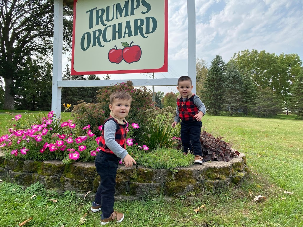 Trumps Orchard | 1020 St Paul Ave, Faribault, MN 55021, USA | Phone: (507) 334-5167