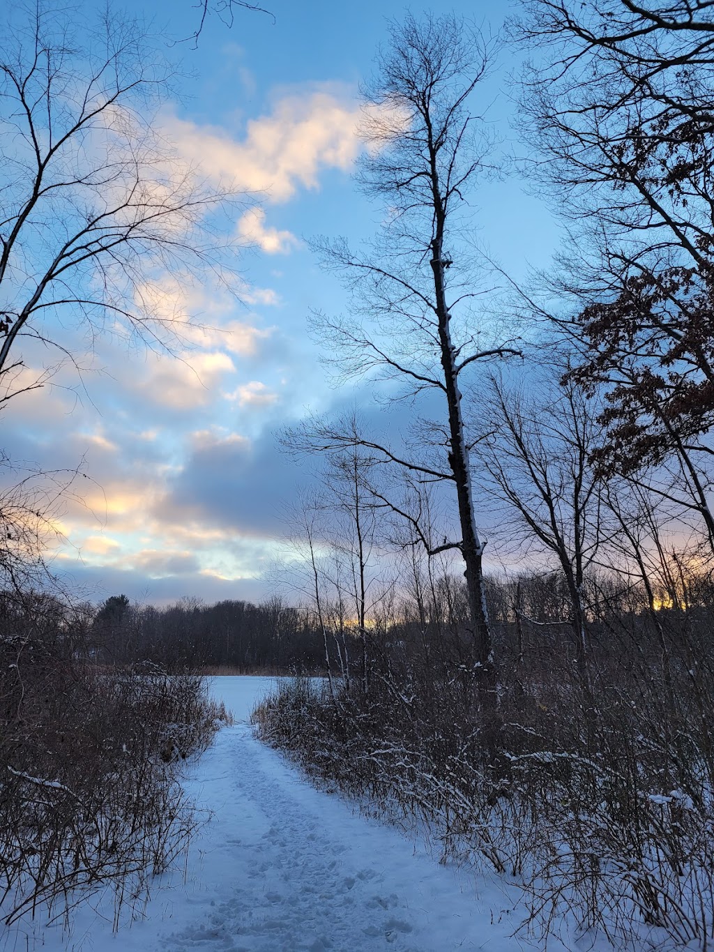 Tamarack Lake Cabins | 1236 Harmon Rd, Oakland Charter Township, MI 48363, USA | Phone: (800) 447-2757