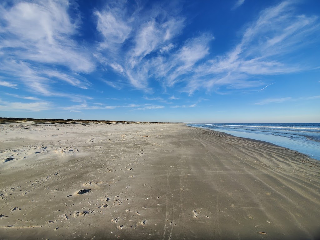 Sea Camp Campground | Cumberland Island, St Marys, GA 31558, USA | Phone: (912) 882-4336