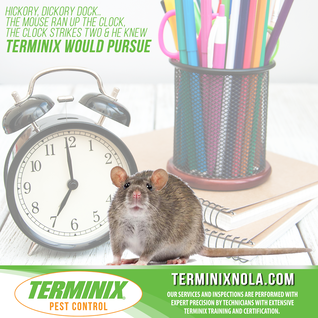 Terminix Northshore | 4990 LA-22 Suite A, Mandeville, LA 70471, USA | Phone: (985) 892-4450