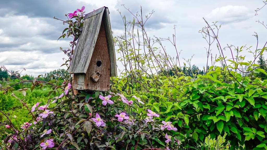 The Rogerson Clematis Garden | 125 Rosemont Rd, West Linn, OR 97068, USA | Phone: (971) 777-4394