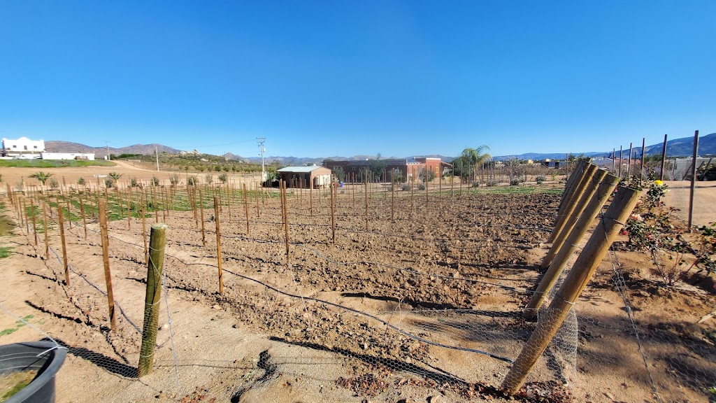 Finca del Pitic | Camino vecinal L 06, 22755 Ensenada, B.C., Mexico | Phone: 646 124 0436