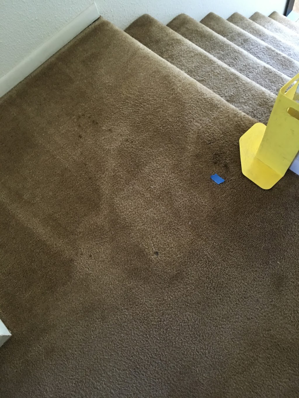 W L Jones Carpet Cleaning | 1060 Oakdale Ln, Lemoore, CA 93245, USA | Phone: (559) 925-1733