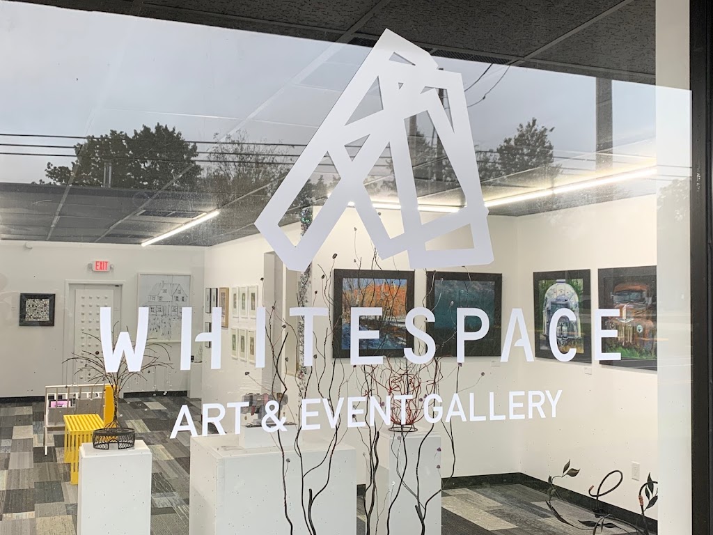 Whitespace Art & Event Gallery | Across from PepBoys, 47 US-46 Suite 3, Hackettstown, NJ 07840, USA | Phone: (908) 451-7364