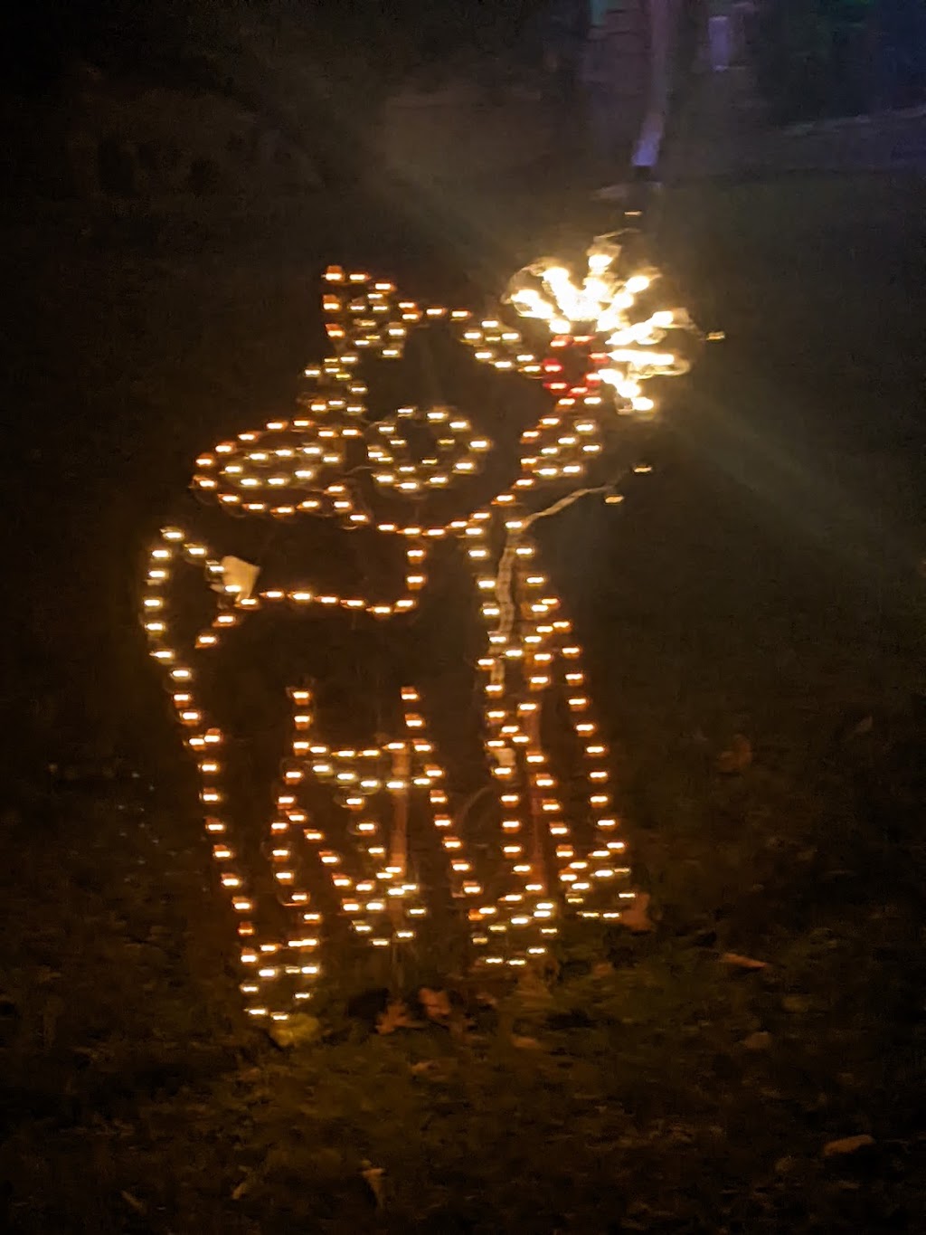 Canigiani Christmas Light Show | Romig Rd &, Martin Dr, New Hanover Township, PA 19525, USA | Phone: (215) 290-5495