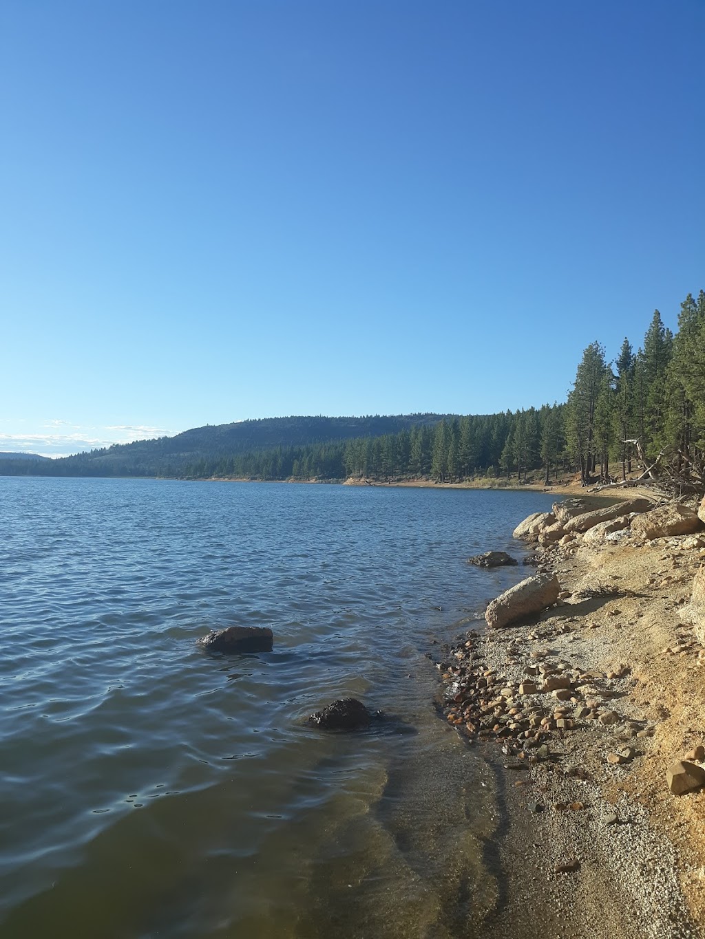 Big Cove Campground | Chilcoot, CA 96105, USA | Phone: (530) 258-7606