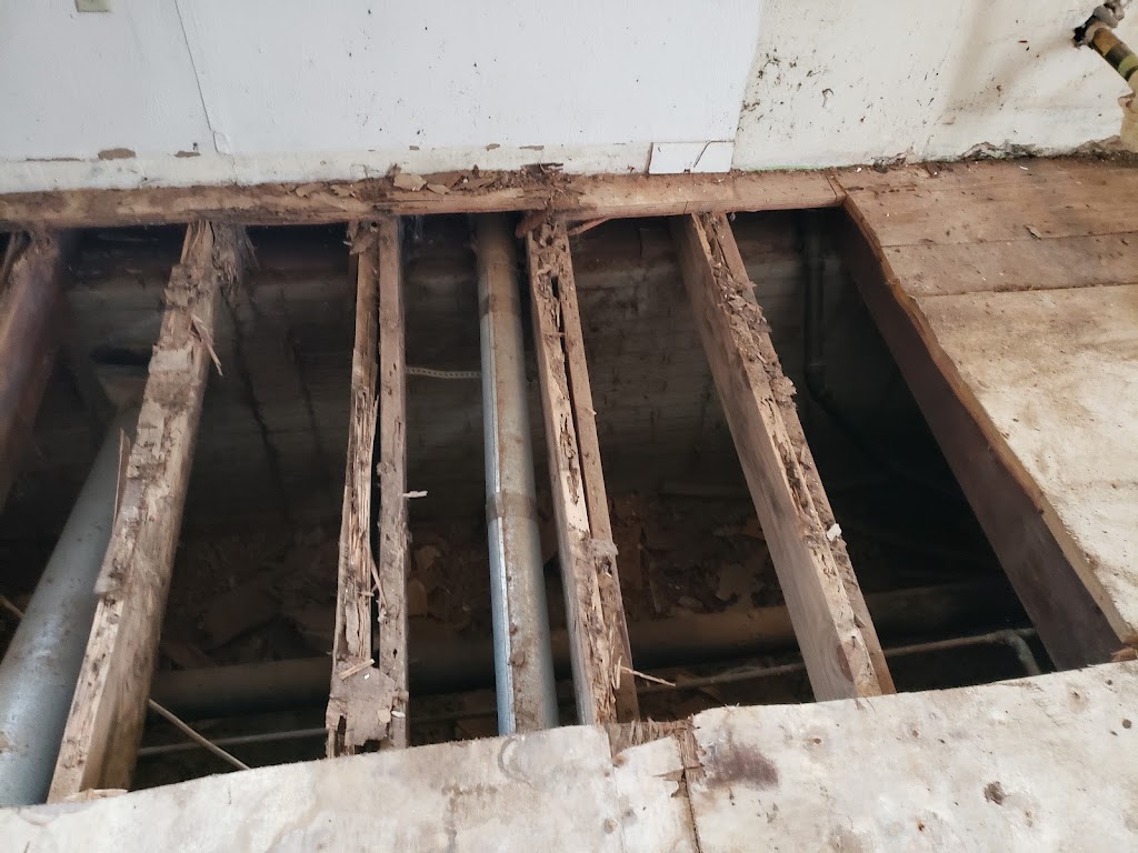 Midwest Termite & Pest Control | 5133 Pensacola Blvd, Dayton, OH 45439, USA | Phone: (937) 469-6128