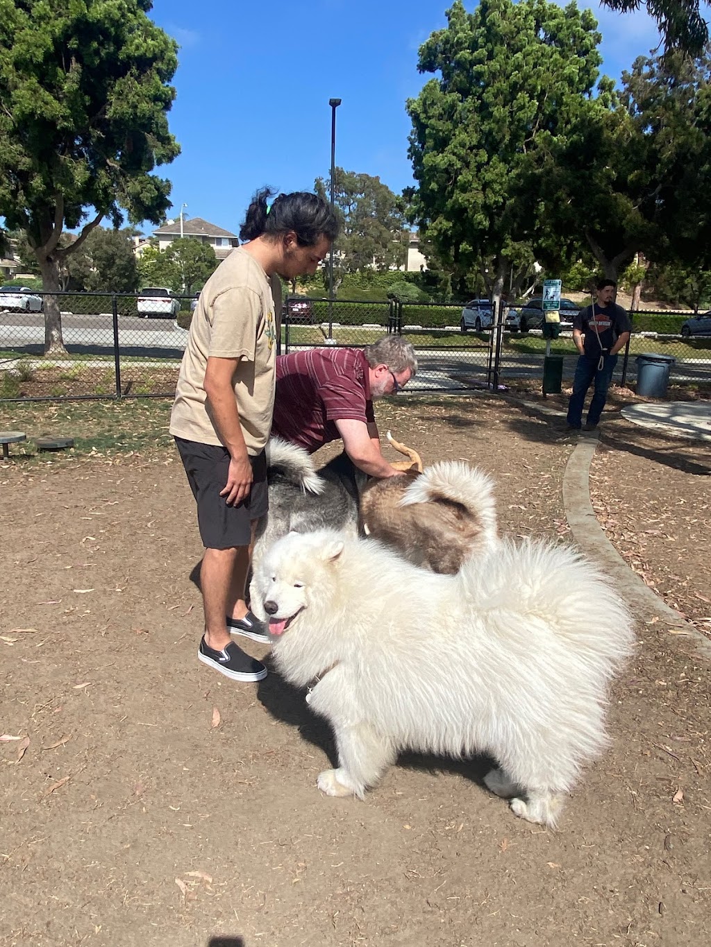 Poinsettia Dog Park | 6600 Hidden Valley Rd, Carlsbad, CA 92011, USA | Phone: (442) 339-2680