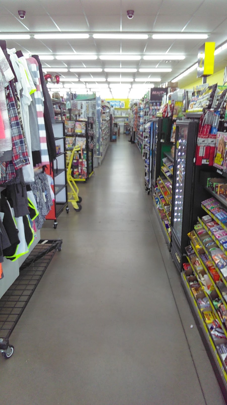 Dollar General | 10408 US-301, Riverview, FL 33578, USA | Phone: (863) 400-5263