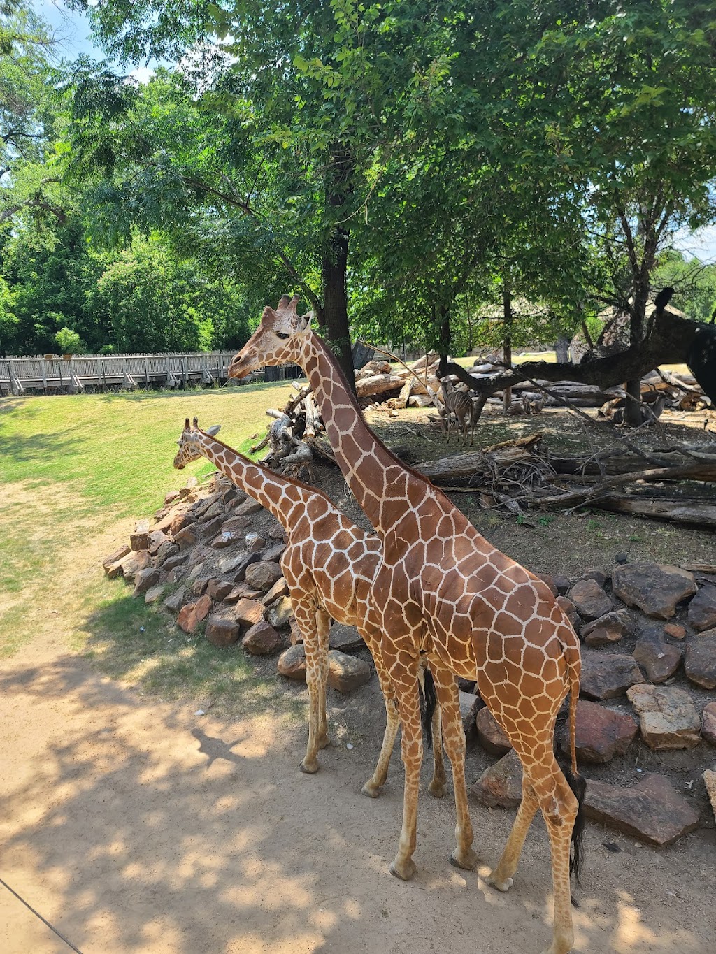 Ticket Booth at Fort Worth Zoo | Fort Worth, TX 76109, USA | Phone: (817) 759-7555