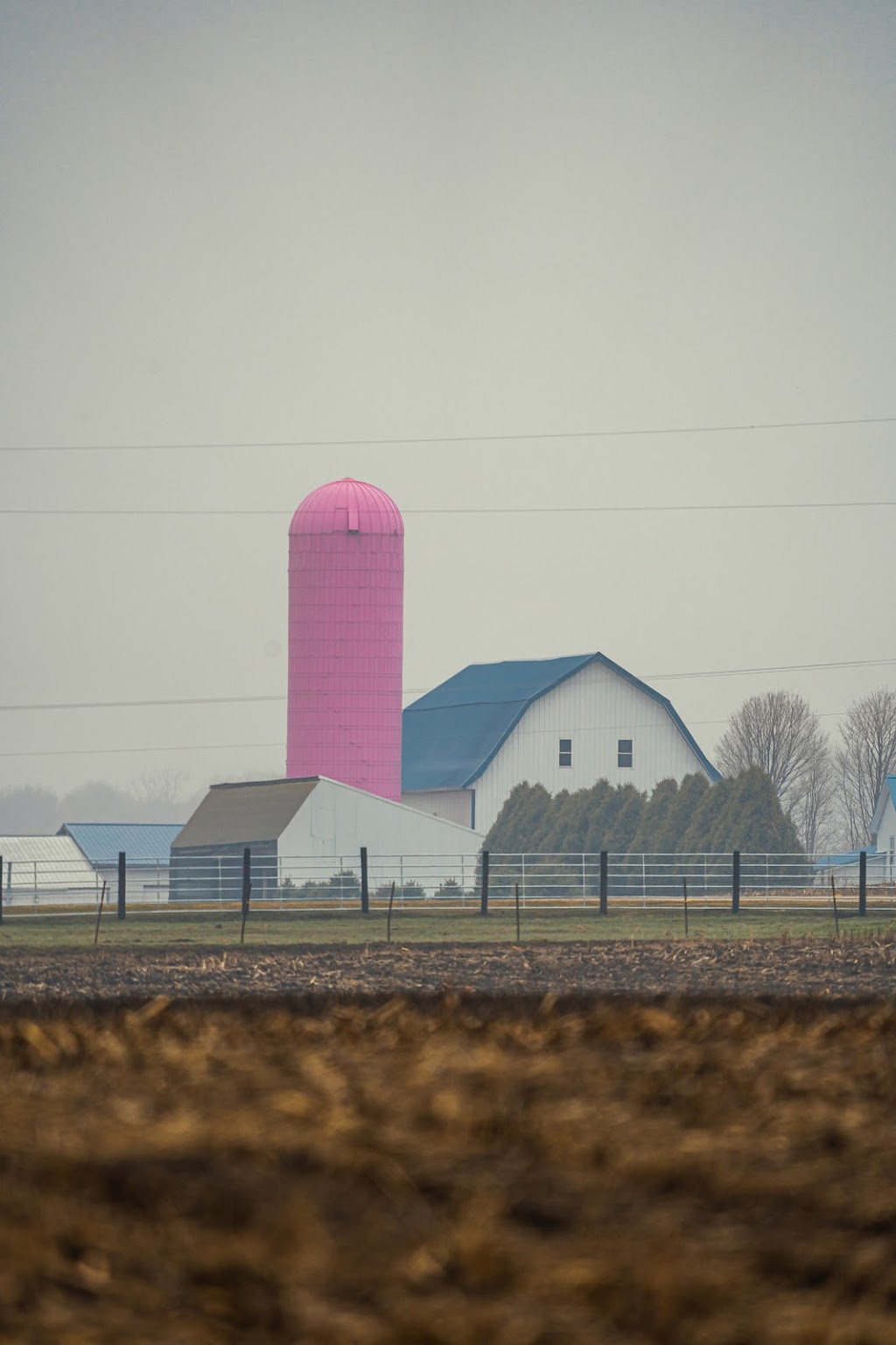 Rackow Family Sausage | N1943 Schindler Rd, Juda, WI 53550, USA | Phone: (608) 325-4547