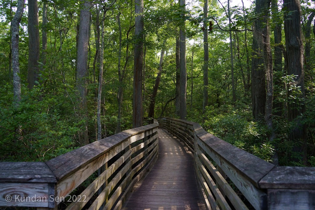 Bald Cypress Trail | 2500 Shore Dr, Virginia Beach, VA 23454, USA | Phone: (757) 412-2300