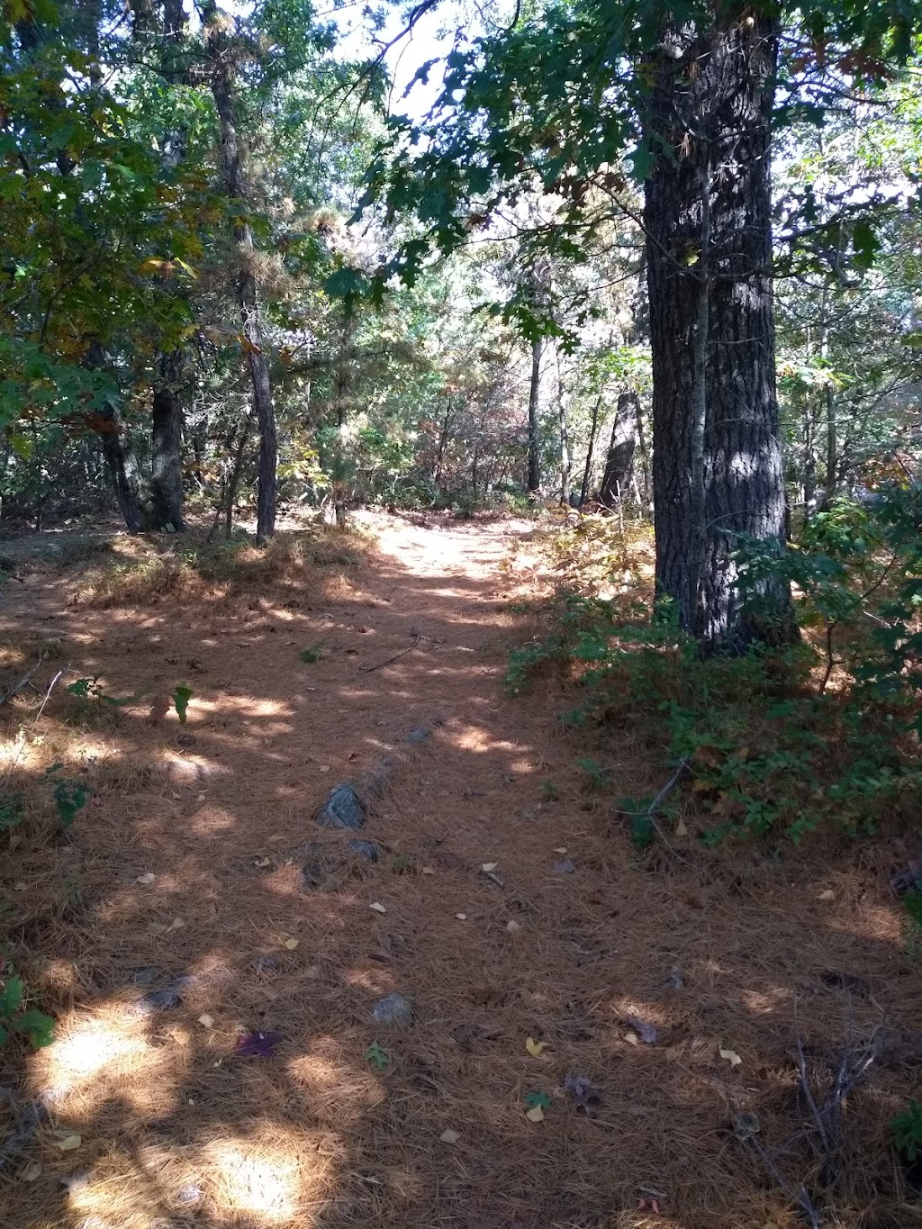 Fox Hill Summit Conservation Land Parking | 50 Gail Ann Rd, Billerica, MA 01821, USA | Phone: (978) 671-0096