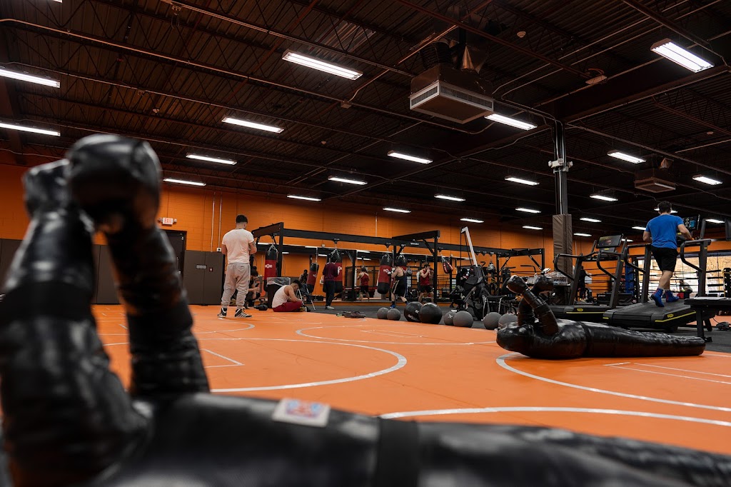 Mule Fitness | 260 Forest Ave, Amsterdam, NY 12010, USA | Phone: (518) 467-6588