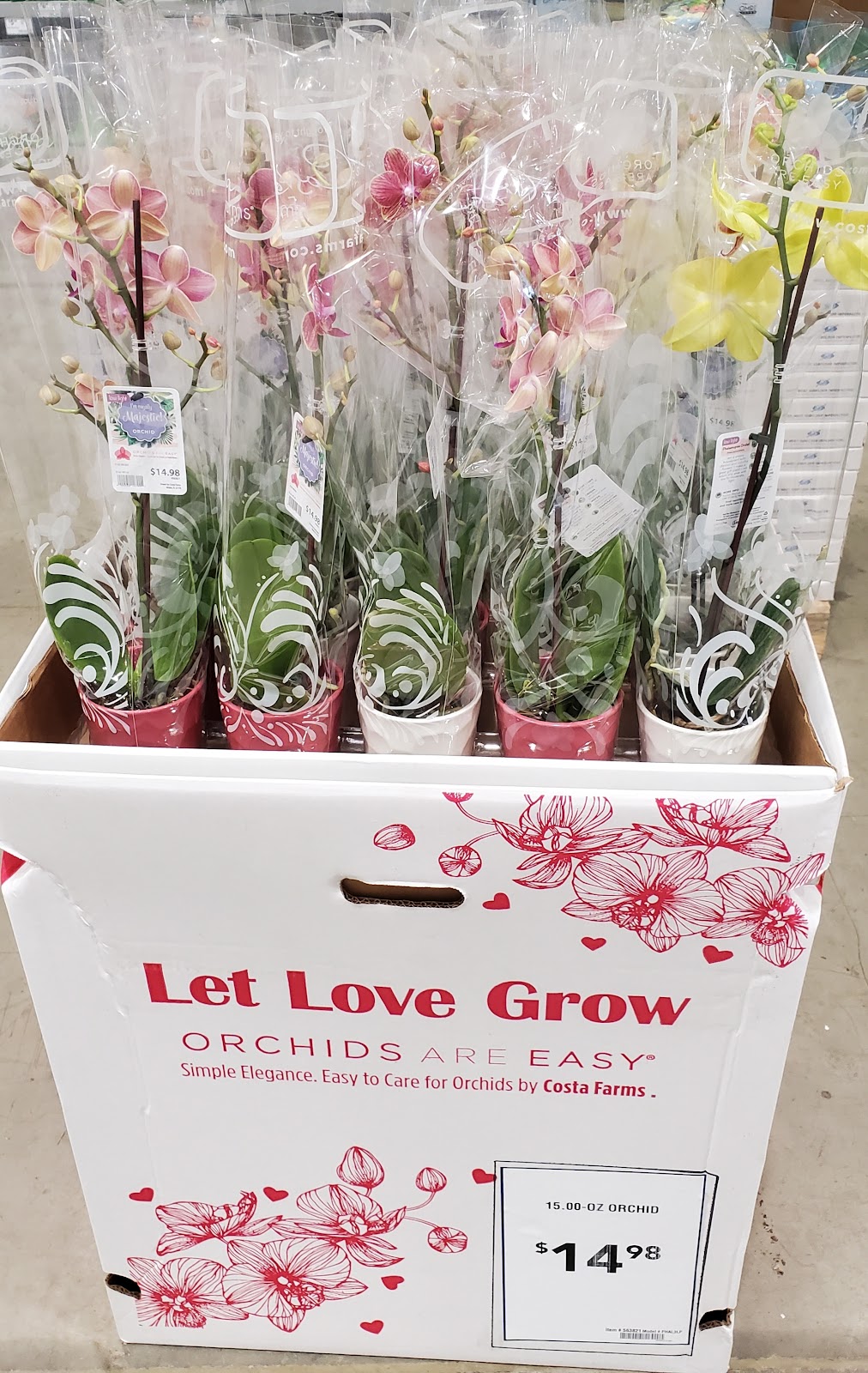 Lowes Garden Center | 8224 Golden Link Blvd, Northfield, OH 44067, USA | Phone: (330) 908-2750