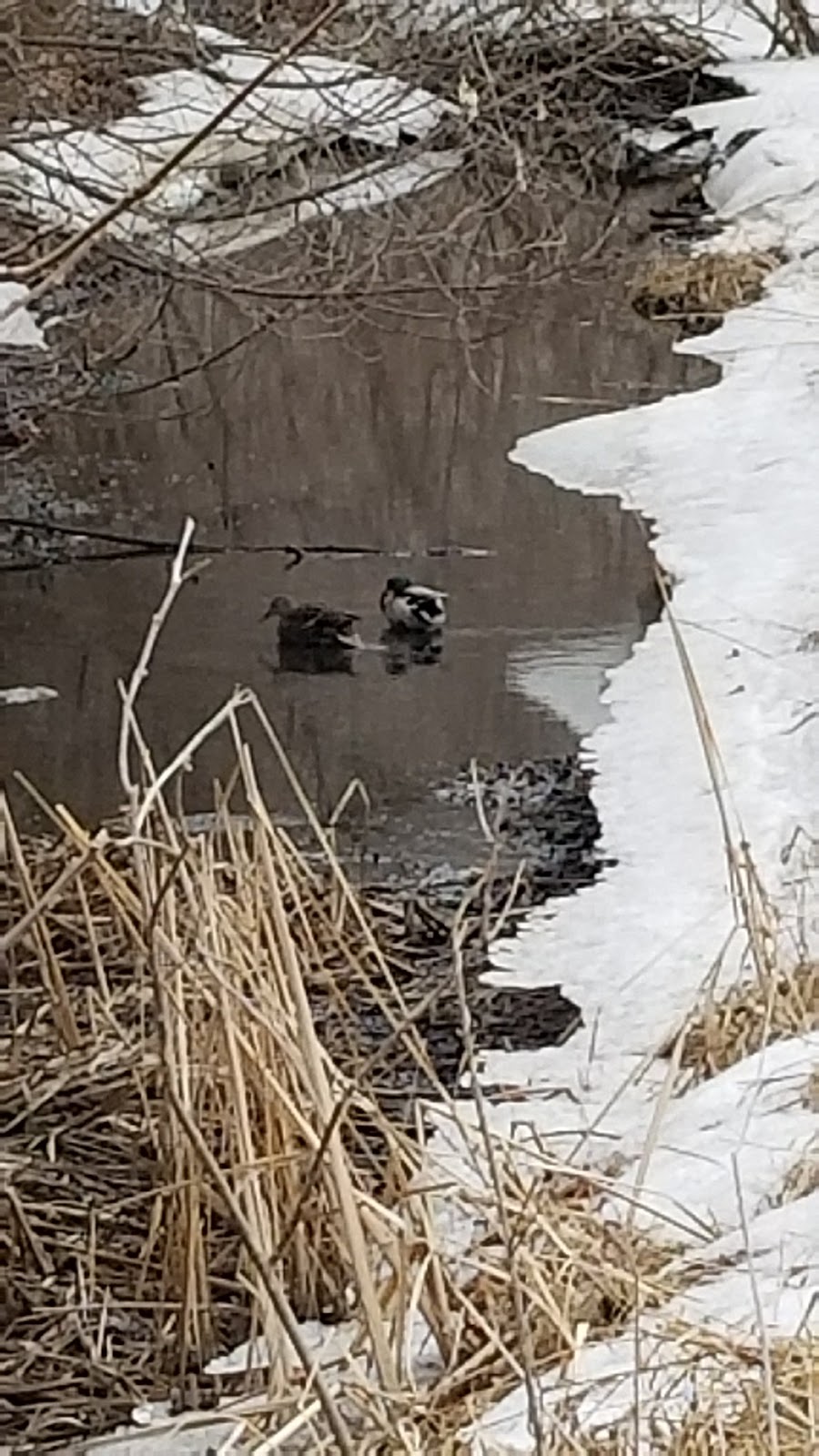 Epiphany Pond Park | 1475 106th Ave NW, Coon Rapids, MN 55433, USA | Phone: (763) 755-2880