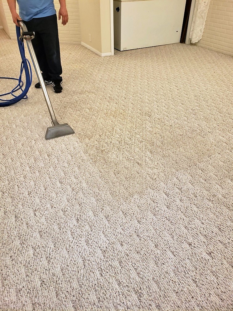 Gemini Carpet Cleaning | 2344 S 13th St #2, Lincoln, NE 68502, USA | Phone: (402) 477-6868