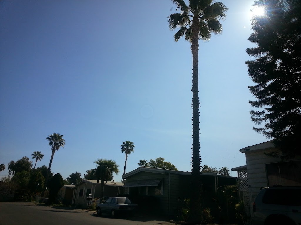 Kamitex International | 1629 New York Ave, Arlington, TX 76010, USA | Phone: (817) 275-9144