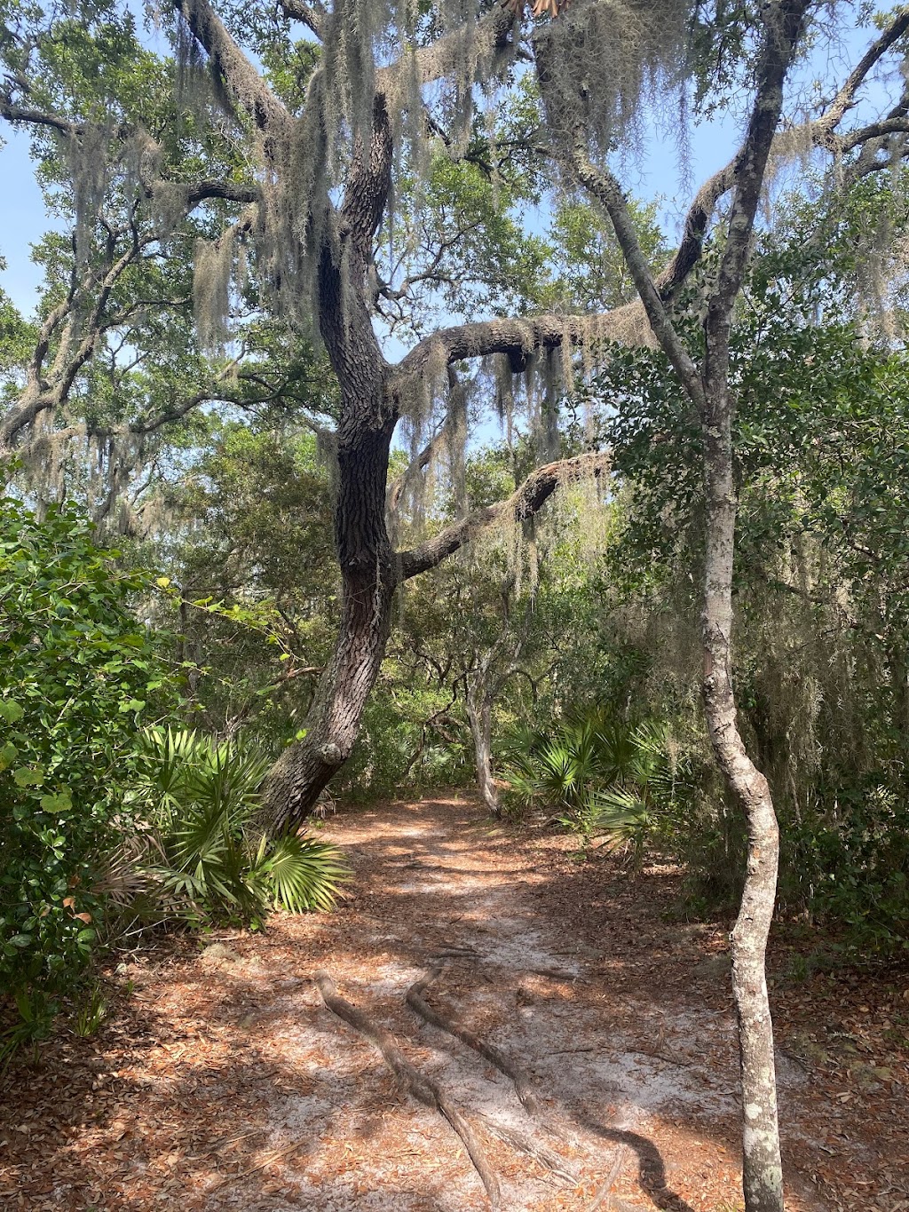 Spanish Pond Trailhead | Jacksonville, FL 32225, USA | Phone: (904) 641-7155