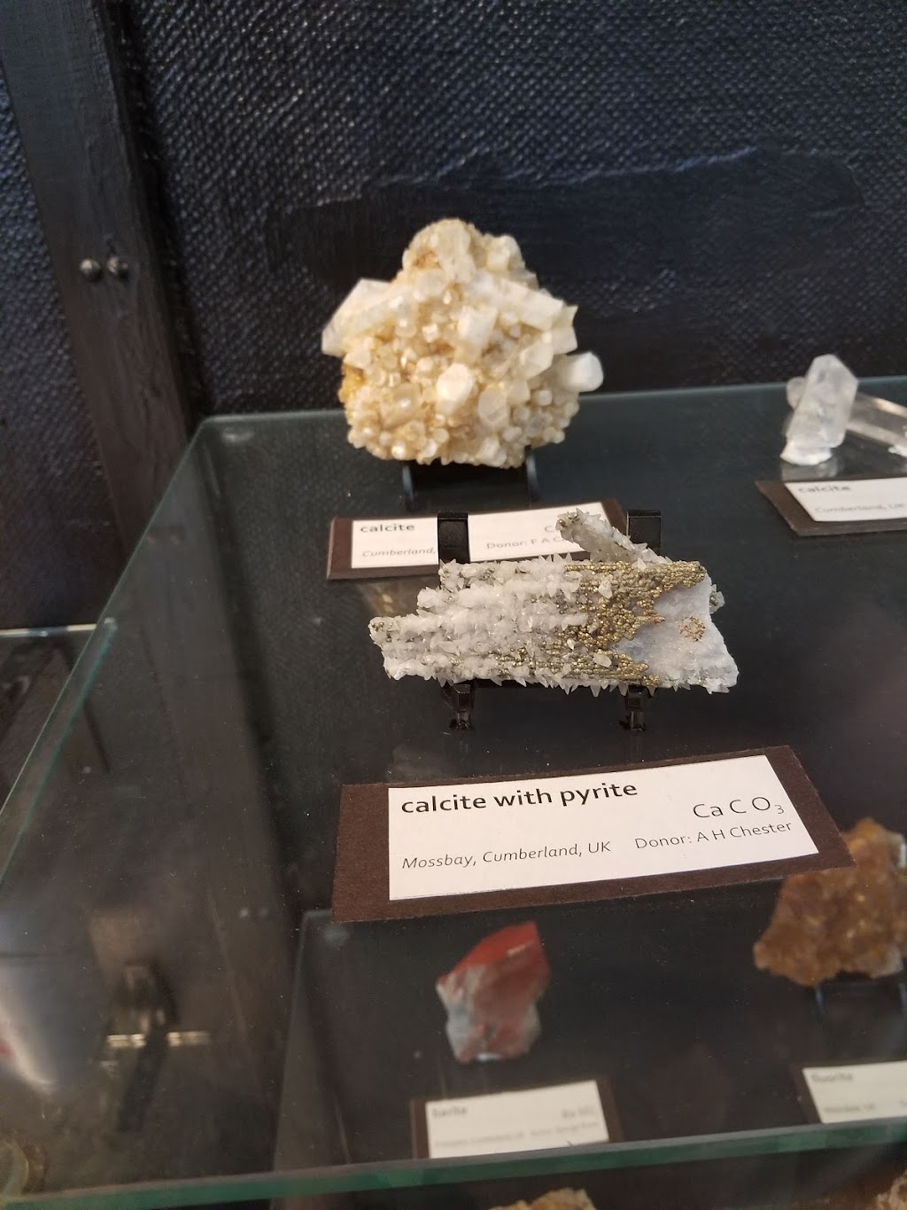 Rutgers Geology Museum | Geology Hall, 85 Somerset St, New Brunswick, NJ 08901 | Phone: (848) 932-7243