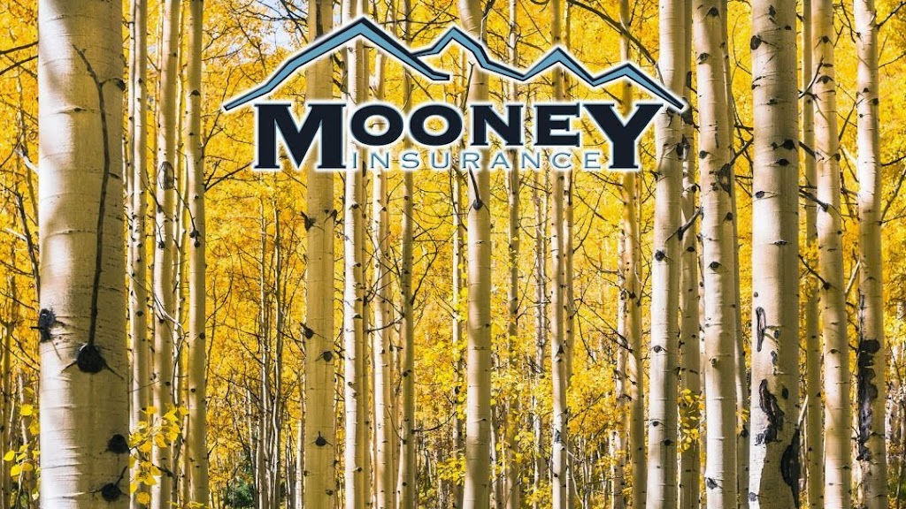 Mooney Insurance | 10501 E Seven Generations Way Ste 201-08, Tucson, AZ 85747, USA | Phone: (520) 751-0502